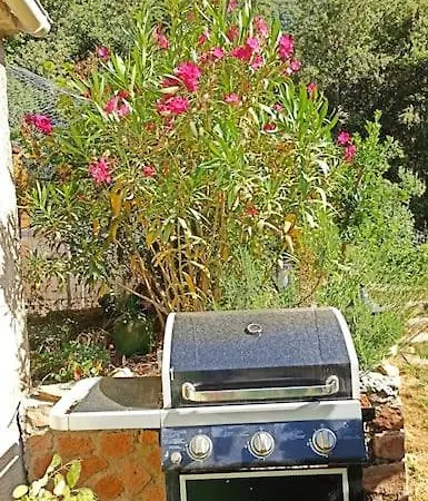 Appartement Au Cœur De La Montagne Corse Zoza