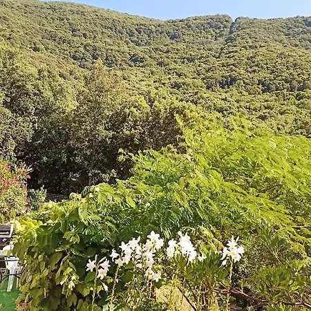 Au Cœur De La Montagne Corse Zoza