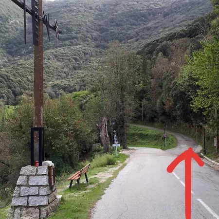 Au Cœur De La Montagne Corse